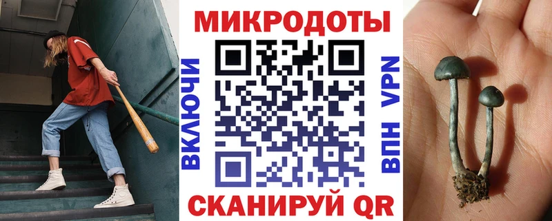 гидра ссылки  купить наркотик  Великие Луки  Галлюциногенные грибы Psilocybe 